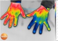 120px-Hands-thermography-medical-TESTO-890.jpg