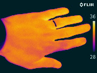 Imagerie thermique de main chaude d'homme