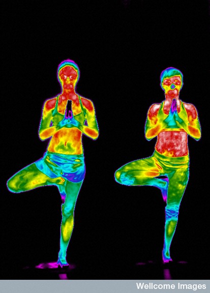 Pose de yoga en thermographie par Thermal Vision Research, Copyrighted work available under Creative Commons by-nc-nd 4.0, see http://wellcomeimages.org/indexplus/page/Prices.html