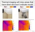120px-Thermal Image mold Probett.jpg