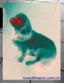 92px-Chien-thermographie.jpg