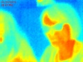 120px-People-seek-thermal-thermography.jpg