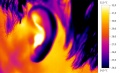 120px-Ear-thermography-testo-890.jpg