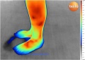 120px-Pieds-imagerie-thermographique-testo-890.jpg