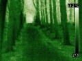 120px-Foret thermographie infrarouge nightvision simulee.jpg