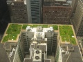 120px-Chicago City Hall Green Roof.jpg