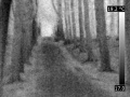 120px-Foret thermographie infrarouge.jpg