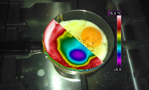 Image double en thermographie infrarouge et digitale d'un œuf sur le plat